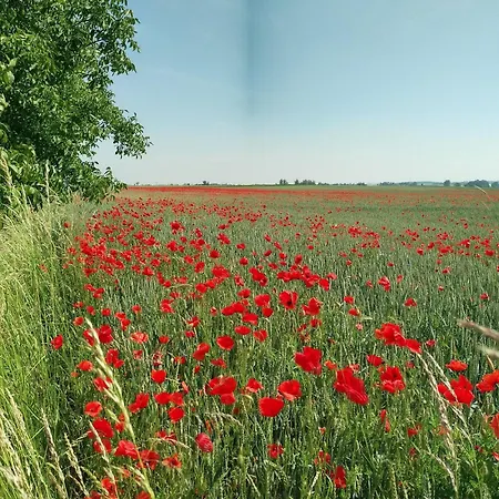 Marianne بيت للعطل Diesbar